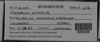 Image Associated With the Occurence
